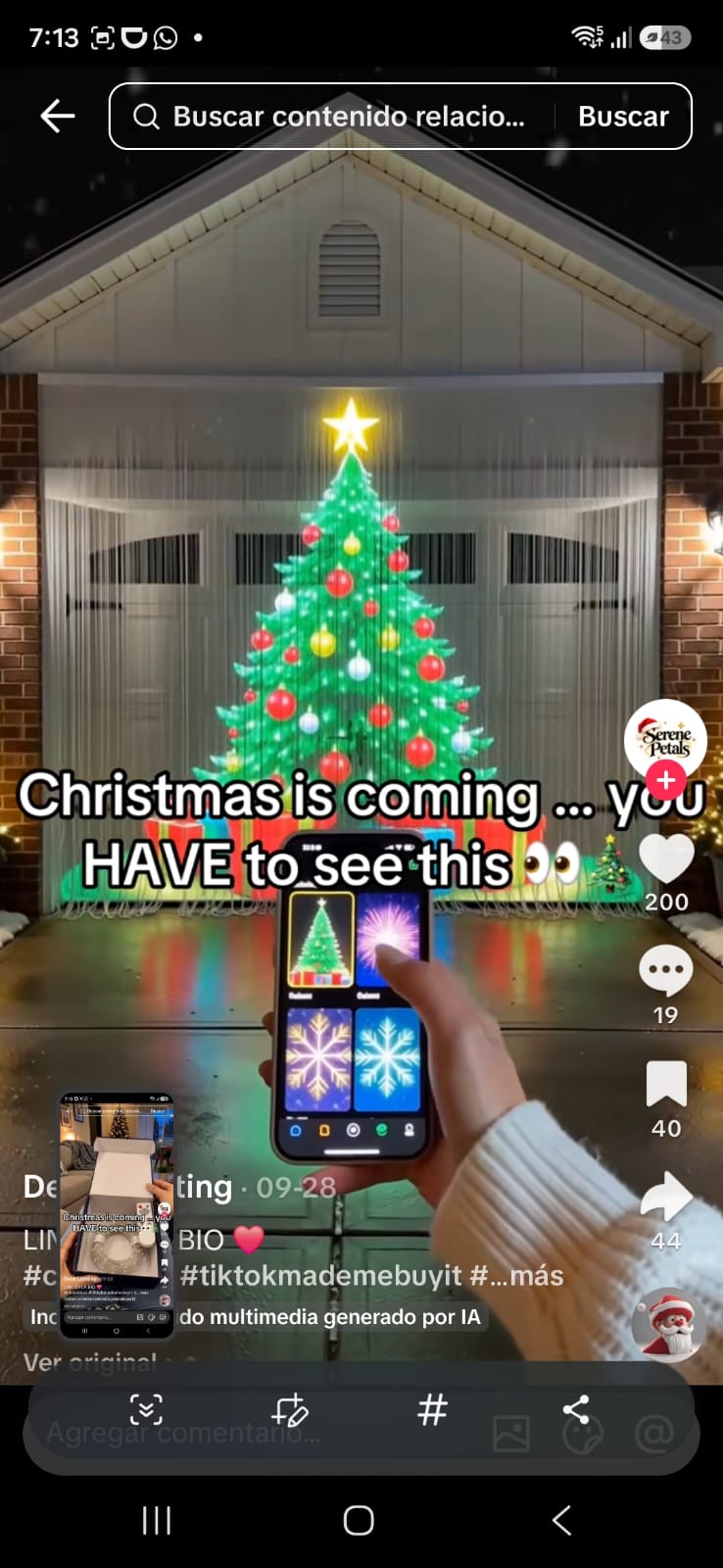 Imagen de referencia de decoración luminosa navideña